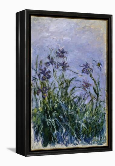 Purple Irises, 1914-17-Claude Monet-Framed Premier Image Canvas