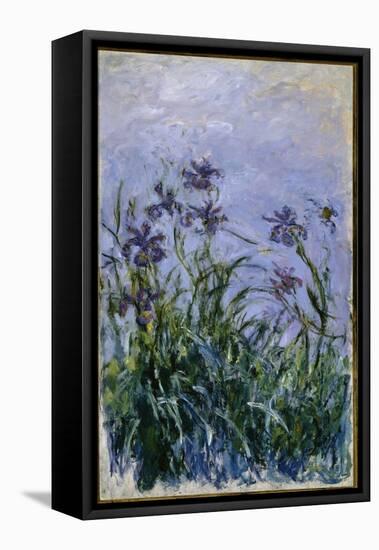 Purple Irises, 1914-17-Claude Monet-Framed Premier Image Canvas