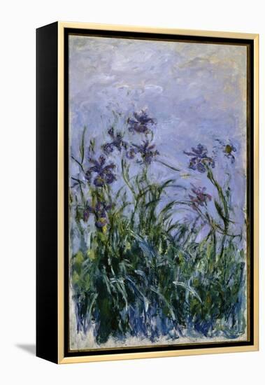 Purple Irises, 1914-17-Claude Monet-Framed Premier Image Canvas