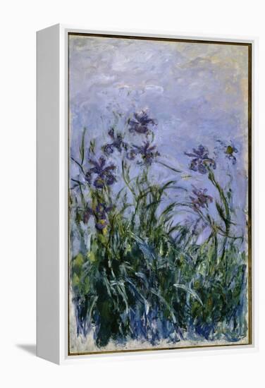 Purple Irises, 1914-17-Claude Monet-Framed Premier Image Canvas