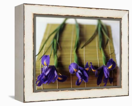 Purple Irises on a Bamboo Mat-Colin Anderson-Framed Premier Image Canvas