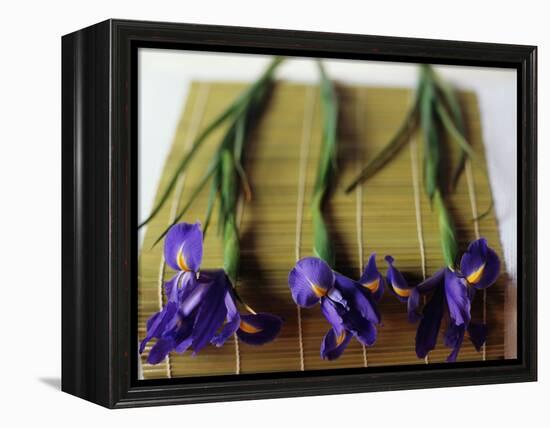 Purple Irises on a Bamboo Mat-Colin Anderson-Framed Premier Image Canvas