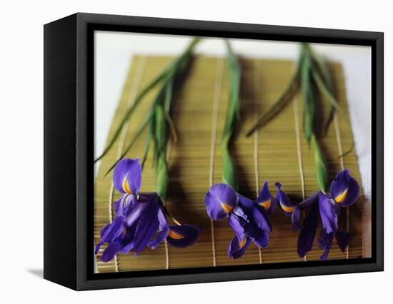 Purple Irises on a Bamboo Mat-Colin Anderson-Framed Premier Image Canvas