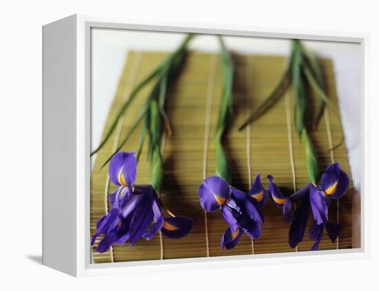 Purple Irises on a Bamboo Mat-Colin Anderson-Framed Premier Image Canvas