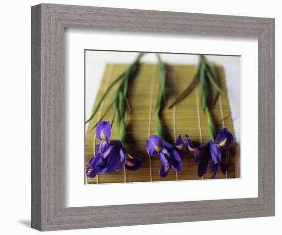 Purple Irises on a Bamboo Mat-Colin Anderson-Framed Photographic Print