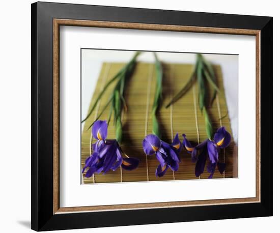 Purple Irises on a Bamboo Mat-Colin Anderson-Framed Photographic Print