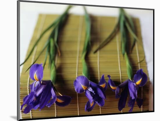 Purple Irises on a Bamboo Mat-Colin Anderson-Mounted Photographic Print