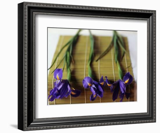 Purple Irises on a Bamboo Mat-Colin Anderson-Framed Photographic Print