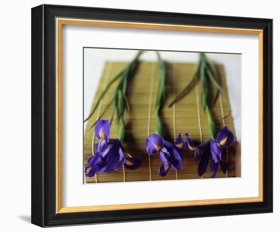 Purple Irises on a Bamboo Mat-Colin Anderson-Framed Photographic Print