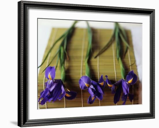 Purple Irises on a Bamboo Mat-Colin Anderson-Framed Photographic Print