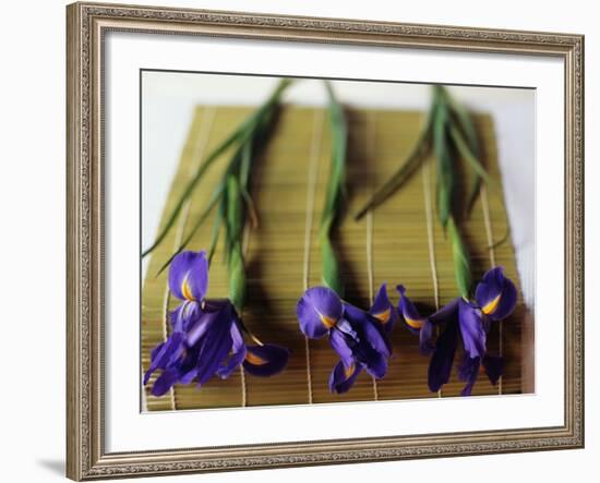 Purple Irises on a Bamboo Mat-Colin Anderson-Framed Photographic Print