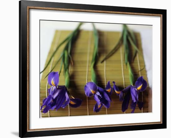 Purple Irises on a Bamboo Mat-Colin Anderson-Framed Photographic Print