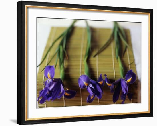 Purple Irises on a Bamboo Mat-Colin Anderson-Framed Photographic Print