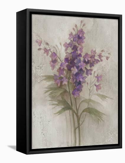 Purple Larkspur Garden on Grey-Albena Hristova-Framed Stretched Canvas