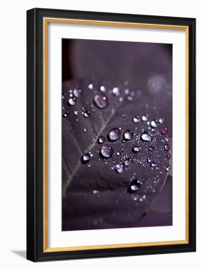 Purple Leaves II-K.B. White-Framed Photographic Print
