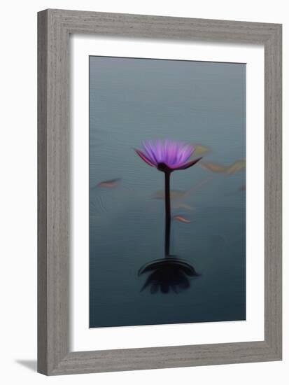 Purple Lily, 2021, (digital)-Scott J. Davis-Framed Giclee Print