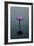 Purple Lily, 2021, (digital)-Scott J. Davis-Framed Giclee Print