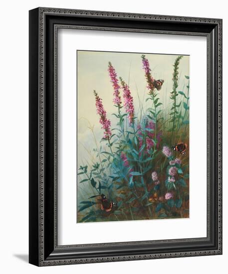 Purple Loosestrife and Watermint, C.1910-20-Archibald Thorburn-Framed Giclee Print