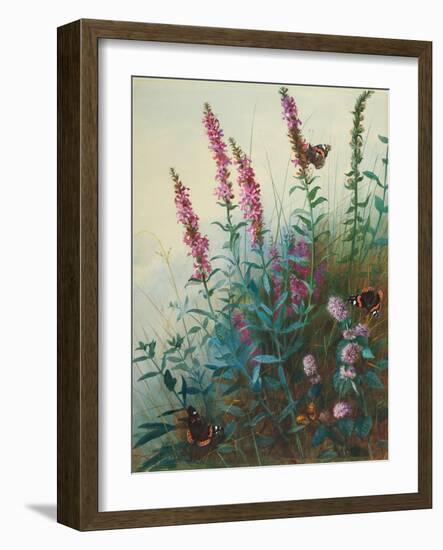 Purple Loosestrife and Watermint, C.1910-20-Archibald Thorburn-Framed Giclee Print