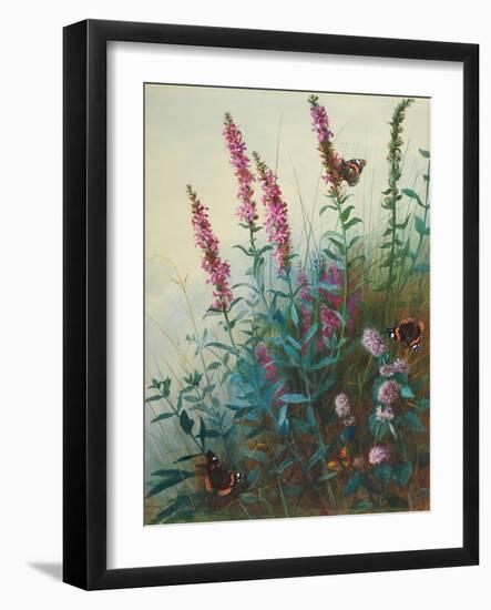 Purple Loosestrife and Watermint, C.1910-20-Archibald Thorburn-Framed Giclee Print