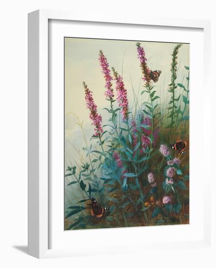 Purple Loosestrife and Watermint, C.1910-20-Archibald Thorburn-Framed Giclee Print