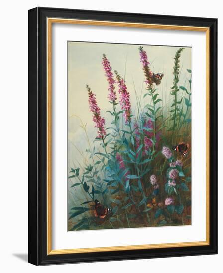 Purple Loosestrife and Watermint, C.1910-20-Archibald Thorburn-Framed Giclee Print