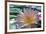 Purple Lotus Flower-joyfuldesigns-Framed Photographic Print