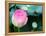 Purple Lotus II-Jairo Rodriguez-Framed Premier Image Canvas