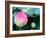 Purple Lotus II-Jairo Rodriguez-Framed Photographic Print