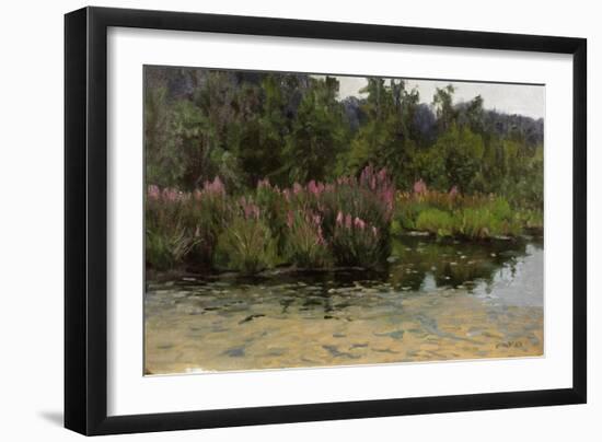 Purple Lustrife - Townsend's Pond-Michael Budden-Framed Giclee Print