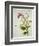 Purple Magnolia, c.1800-40-null-Framed Giclee Print