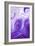 Purple Marble-Martina Pavlova-Framed Art Print