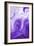 Purple Marble-Martina Pavlova-Framed Art Print