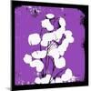 Purple Money-Herb Dickinson-Mounted Photographic Print