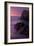 Purple Mood and Mist Sunset-Vincent James-Framed Photographic Print