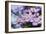 Purple Moods-Incredi-Framed Giclee Print