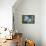 Purple Mophead hydrangea, USA-Lisa Engelbrecht-Framed Premier Image Canvas displayed on a wall