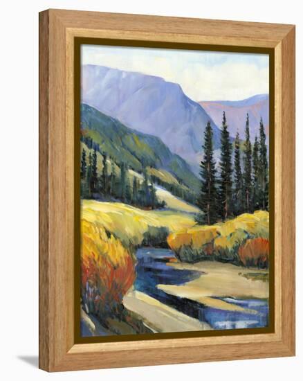 Purple Mountain Majesty I-Tim O'toole-Framed Stretched Canvas