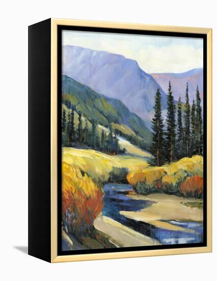 Purple Mountain Majesty I-Tim O'toole-Framed Stretched Canvas