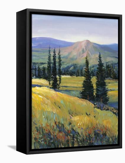 Purple Mountain Majesty II-Tim O'toole-Framed Stretched Canvas