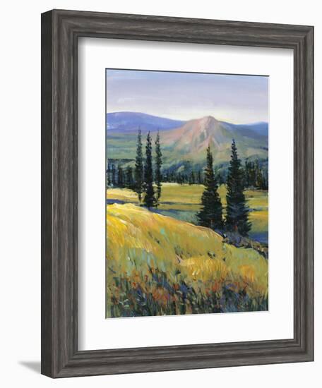 Purple Mountain Majesty II-Tim O'toole-Framed Art Print