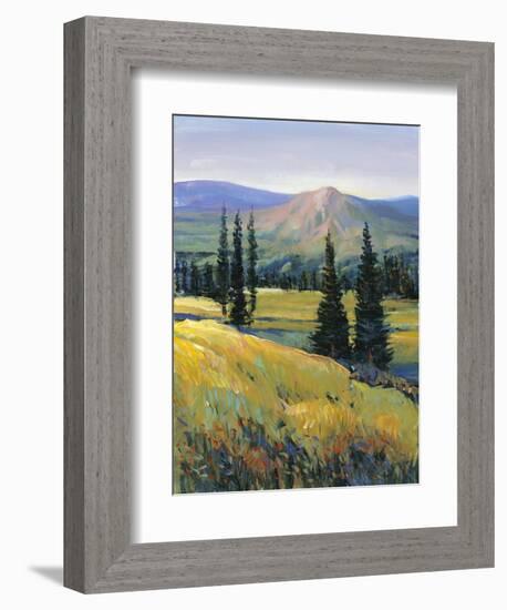 Purple Mountain Majesty II-Tim O'toole-Framed Art Print