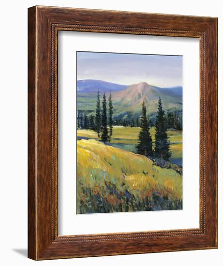 Purple Mountain Majesty II-Tim O'toole-Framed Art Print