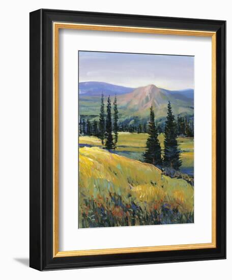 Purple Mountain Majesty II-Tim O'toole-Framed Art Print