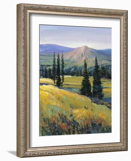 Purple Mountain Majesty II-Tim O'toole-Framed Art Print