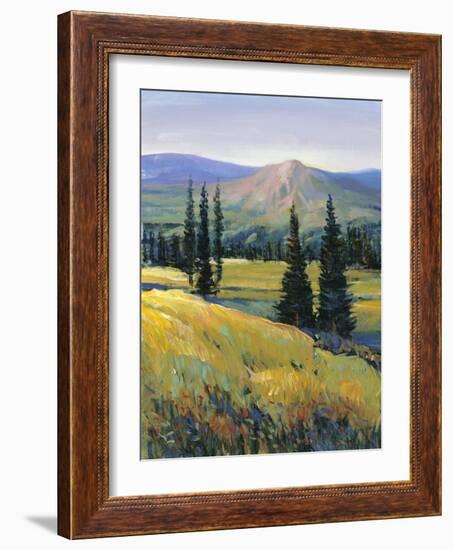 Purple Mountain Majesty II-Tim O'toole-Framed Art Print