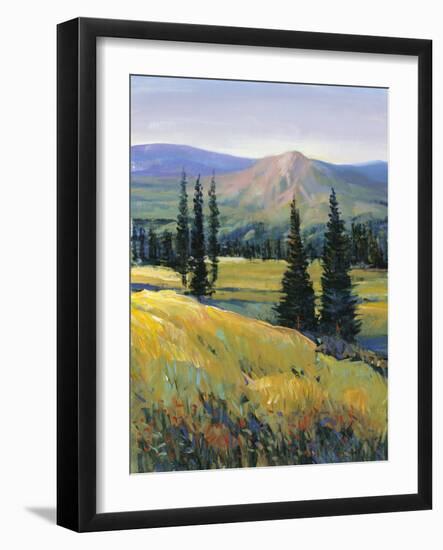 Purple Mountain Majesty II-Tim O'toole-Framed Art Print