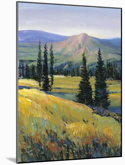 Purple Mountain Majesty II-Tim O'toole-Mounted Art Print