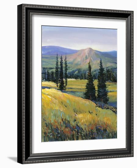 Purple Mountain Majesty II-Tim O'toole-Framed Art Print