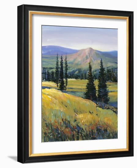 Purple Mountain Majesty II-Tim O'toole-Framed Art Print